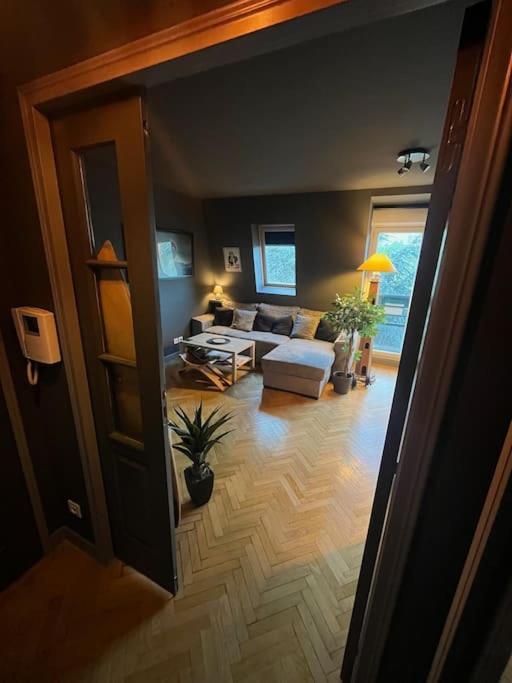 Appartement Cosy Le Chesnay Le Chesnay  Exterior foto